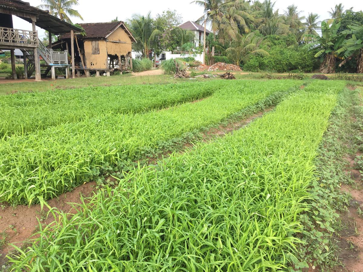 Green Life Cottage Siem Reap Dış mekan fotoğraf