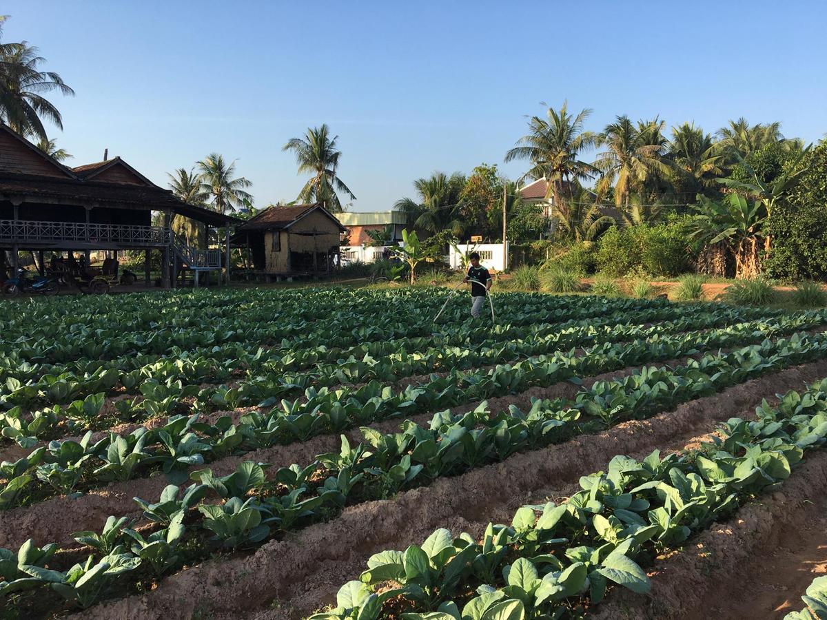 Green Life Cottage Siem Reap Dış mekan fotoğraf